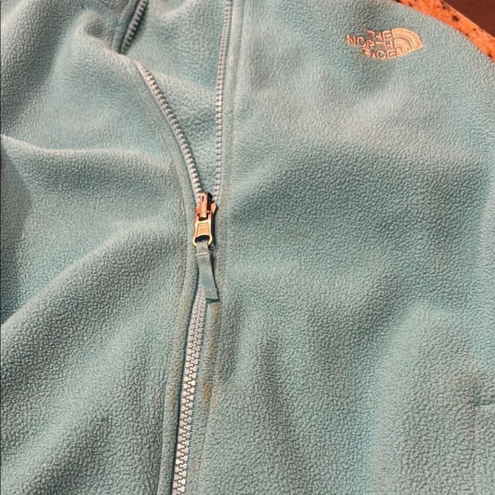 The North Face Blue Fleece Jacket with High Collar